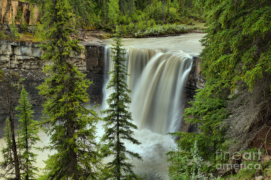 Crescent Falls Through The Trees Photograph by Adam Jewell