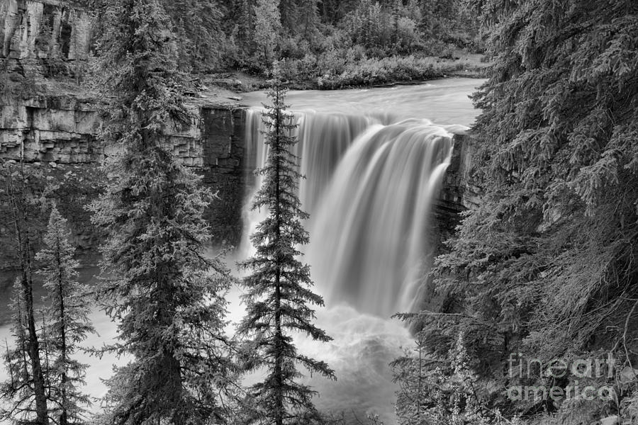 Crescent Falls Through The Trees Black And White Photograph by Adam Jewell