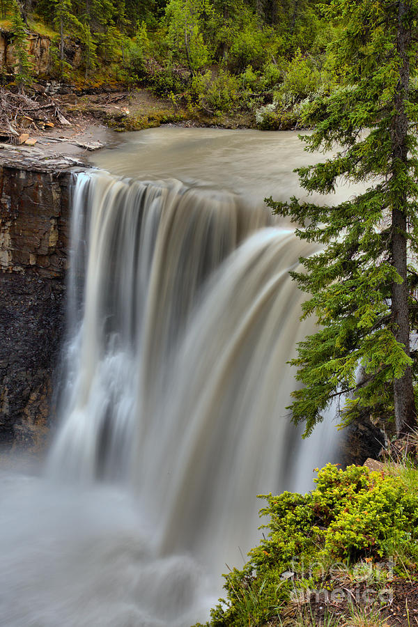 Crescent Falls Wooded Portrait Photograph by Adam Jewell