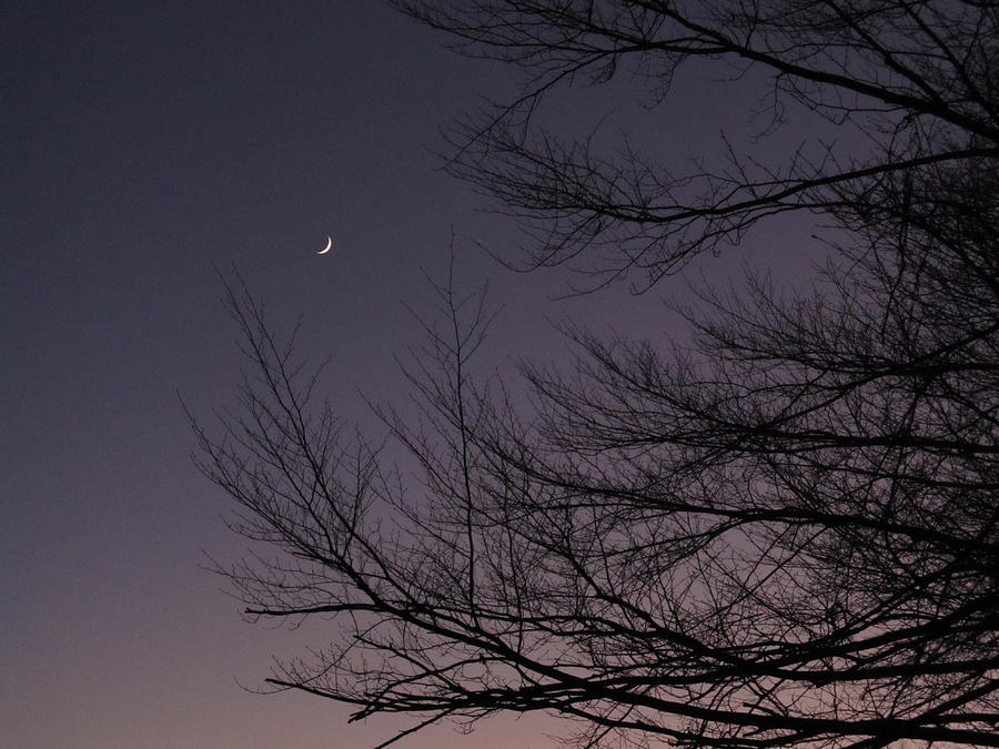 Crescent Moon - #3856 Photograph by StormBringer Photography