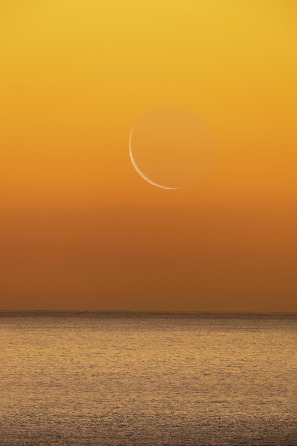 Crescent Moon Photograph by Mark Harrington