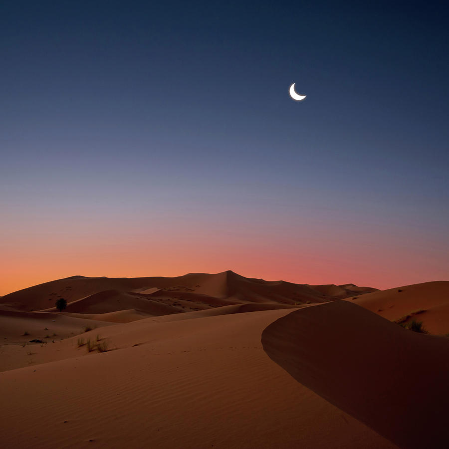 Nature Photograph - Crescent Moon Over Dunes by Photo By John Quintero