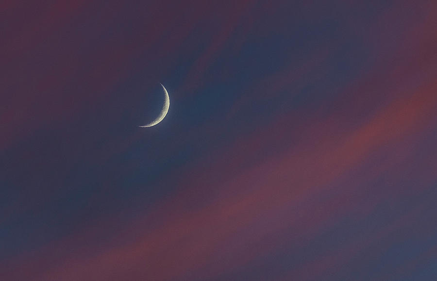 Crescent Moon with Pink Clouds Photograph by Alex Lapidus