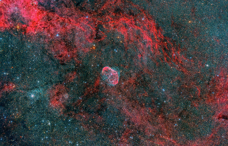 Crescent Nebula Ngc 6888 And Planetary Photograph by Reinhold Wittich