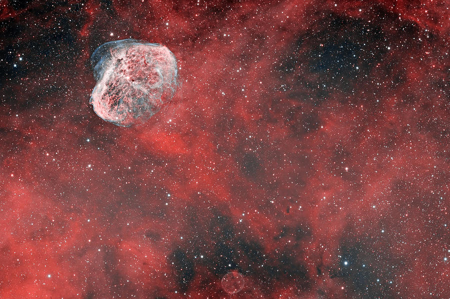 Crescent Nebula Photograph by Vikas Chander