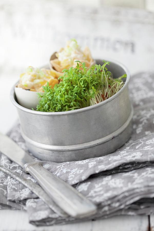 Cress And Small Snacks In Tin Photograph by Martina Schindler