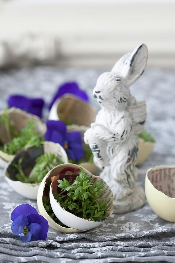 Cress In Egg Shells Lined With Newspaper Photograph by Martina Schindler