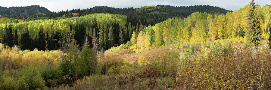 Crested Butte Colorado Fall Colors Panorama - 2 Photograph by OLena Art