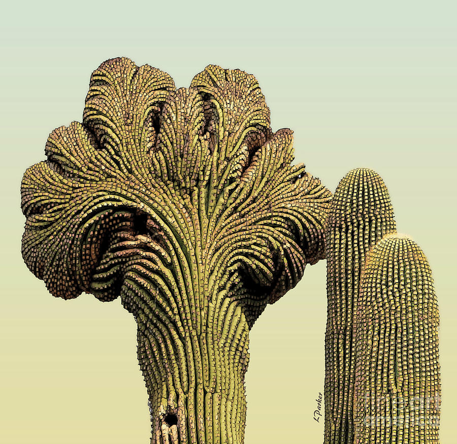 Crested Saguaro - 1 Photograph by Linda Parker