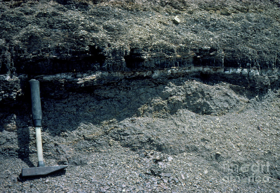 Cretaceous/tertiary Boundary Photograph by Dr. Robert Spicer/science Photo Library
