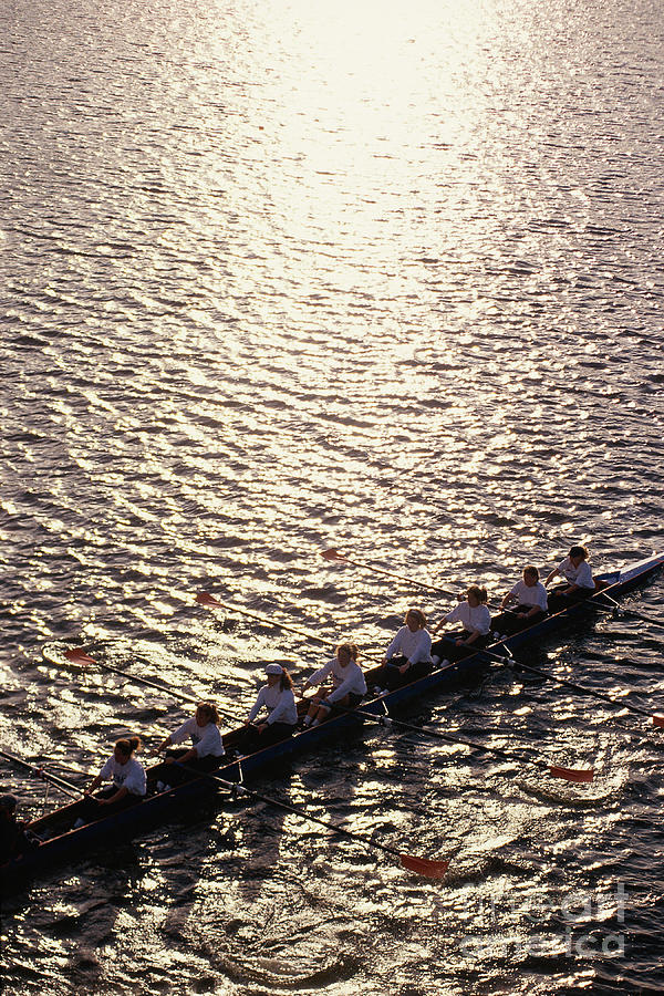 Crew Team Rowing In Water Photograph by Visionsofamerica/joe Sohm
