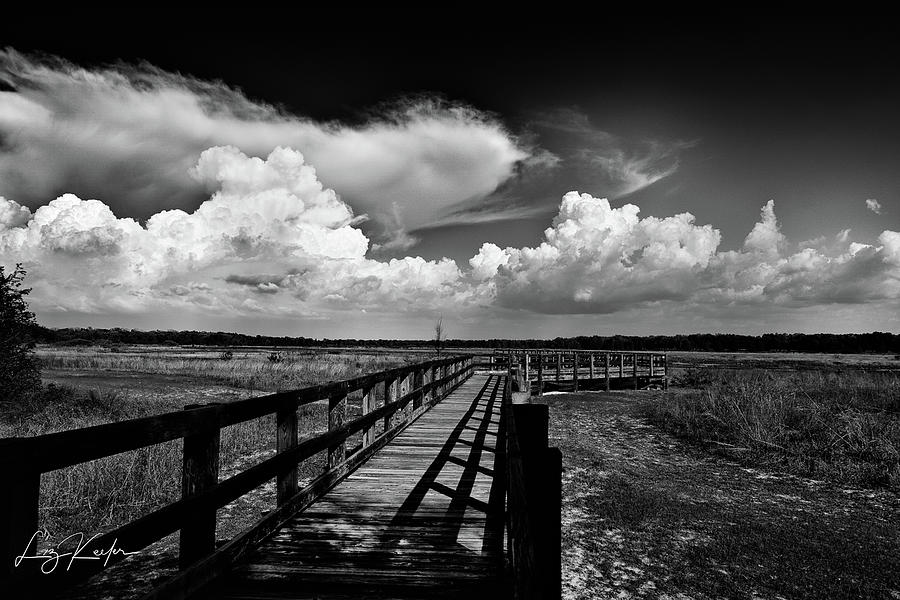 Crews Lake Landscape 2 by Liz Keeler Crews Lake Landscape 2 by Liz Keeler
