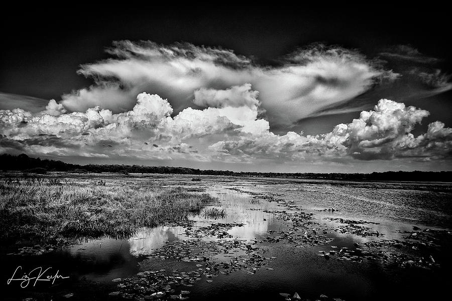 Crews Lake Landscape by Liz Keeler Crews Lake Landscape by Liz Keeler