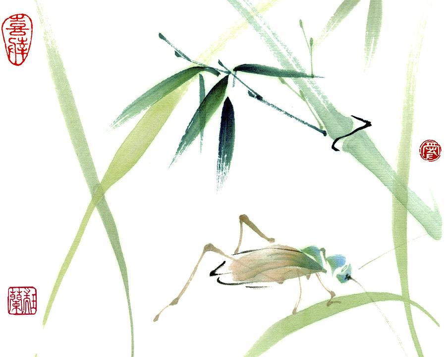Nature Painting - Cricket by Nan Rae
