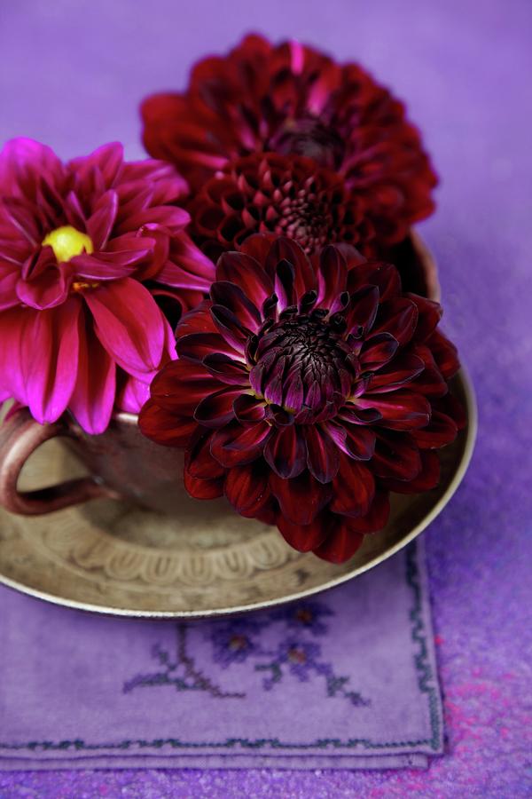 Crimson Dahlia Flowers In Teacup And Saucer On Embroidered Linen Napkin Photograph by Anke Schtz