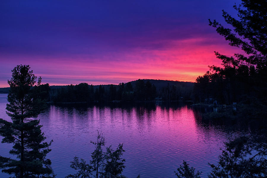 Crimson Dawn - Wollaston Lake - Ontario, Canada Photograph by Spencer Bush
