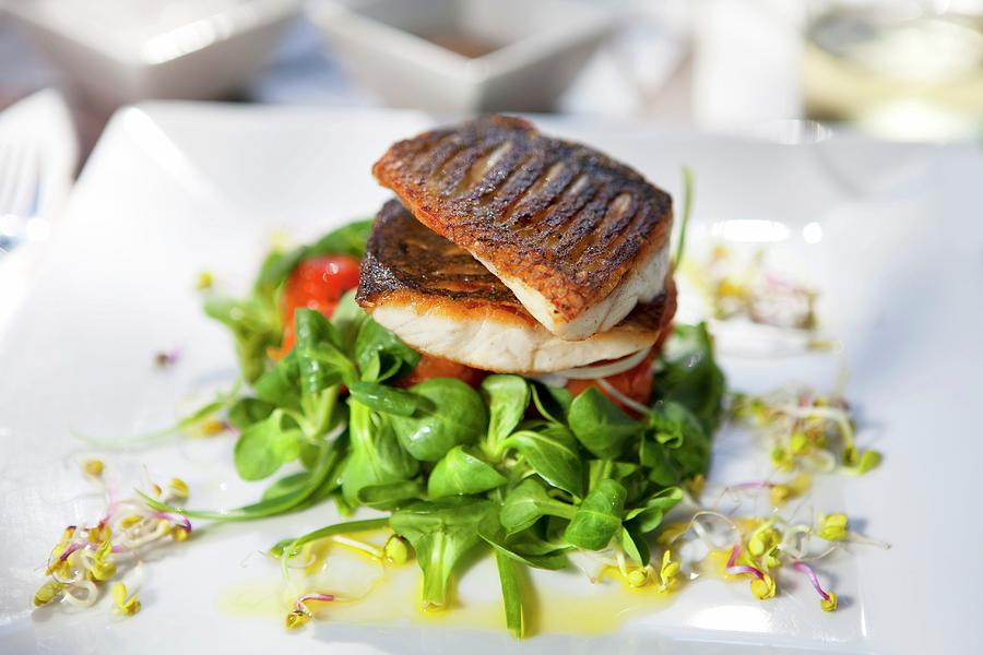 Fish Photograph - Crispy Fried Bass On A Bed Of Lambs Lettuce With A Lemon Dressing by Daly, Zara
