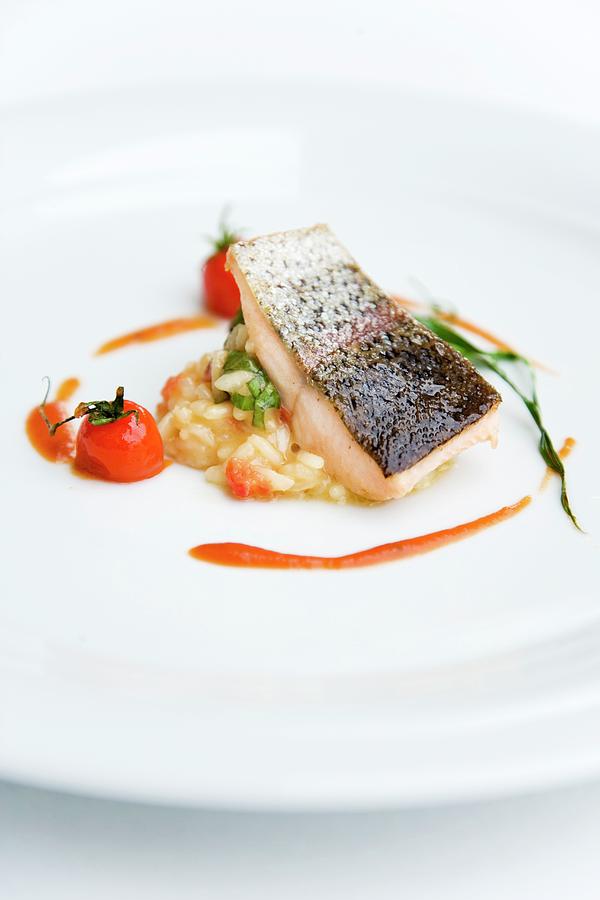 Crispy Fried Salmon Trout On Tomato Risotto Photograph by Michael Wissing
