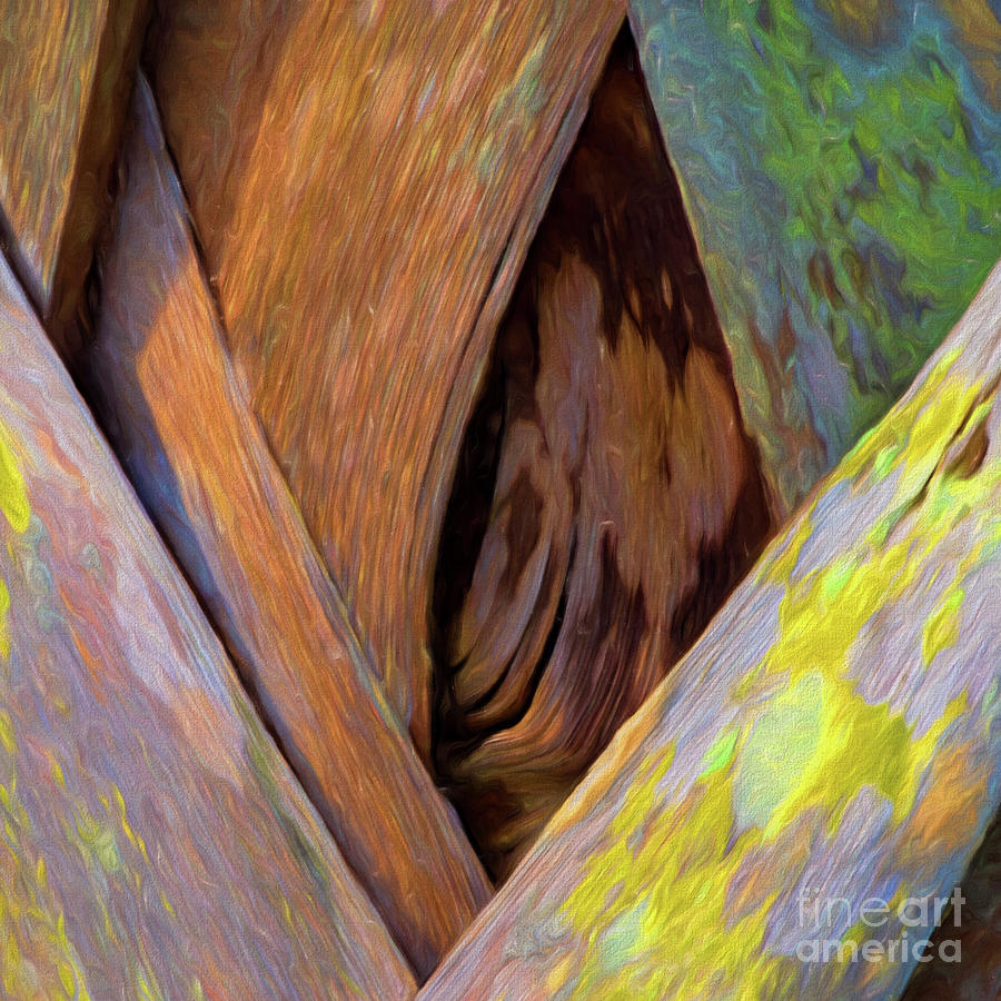 Criss Cross by Hugh Walker Criss Cross by Hugh Walker