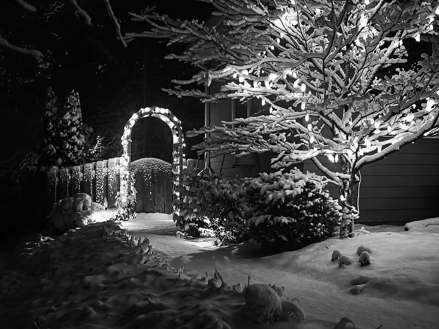 Christmas Lights - Madison - Wisconsin Photograph by Steven Ralser