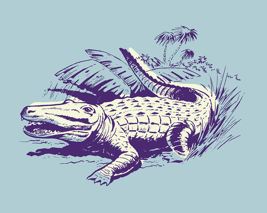 Alligator Drawing - Crocodile on Savannah by CSA Images
