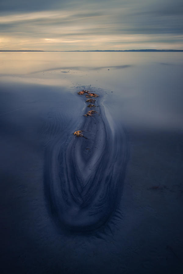 Crocodile Photograph - Crocodile On The Beach by Alex Zhao