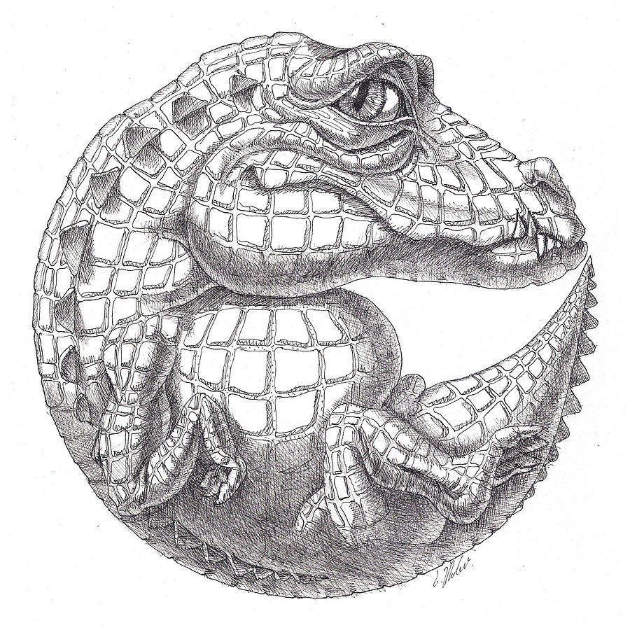 Crocodile Drawing by Victor Molev