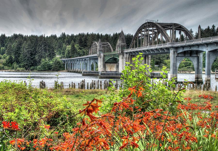 Crocosmias On The Siuslaw by Thom Zehrfeld Crocosmias On The Siuslaw by Thom Zehrfeld