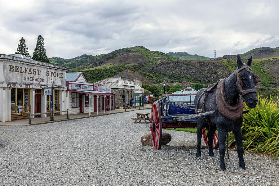 Cromwell - New Zealand Photograph by Joana Kruse