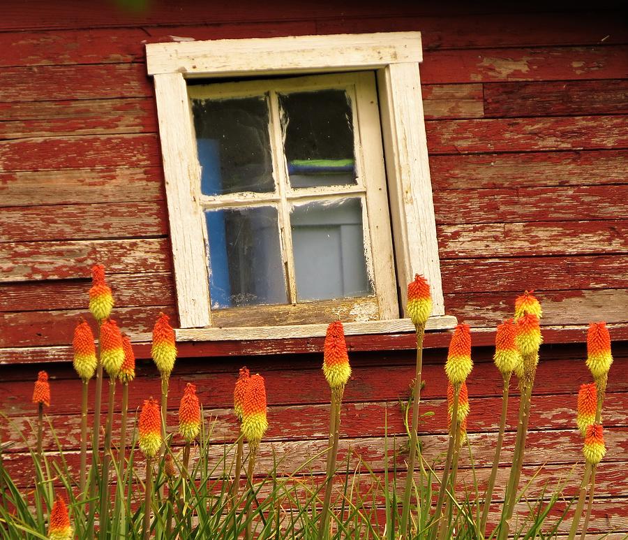 Crooked Window Photograph by Linda Vanoudenhaegen