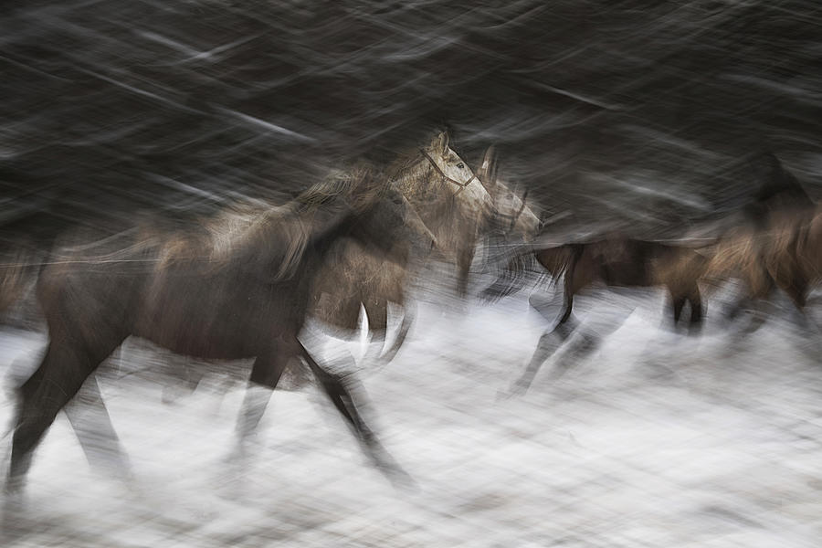 Action Photograph - Croos by Milan Malovrh Action Photograph - Croos by Milan Malovrh