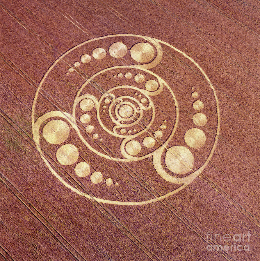 Sign Photograph - Crop Circle In Wheat Field, Golden Ball Hill, Alton Priors, Vale Of Pewsey, Wiltshire by Unknown