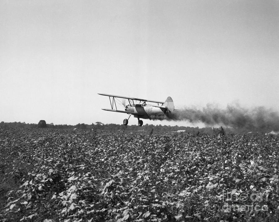 Crop Dusting Plane Flies Over Field Photograph by Bettmann