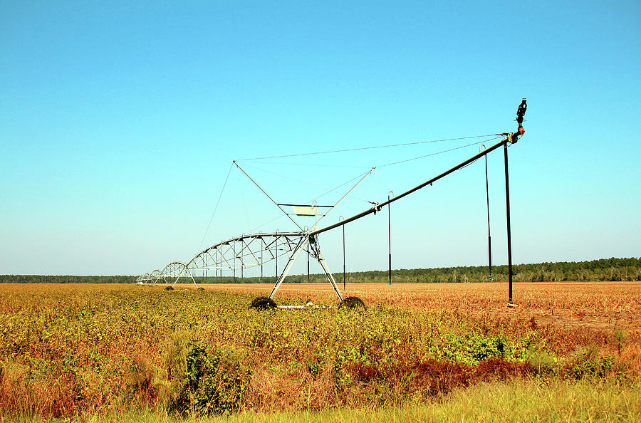 Crop Irrigation by Cynthia Guinn Crop Irrigation by Cynthia Guinn