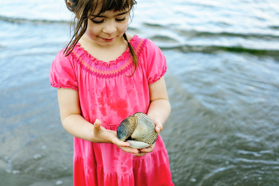 Cropped Image Of A Girl Holding A Stack Of Sea Shells On The Beach ...