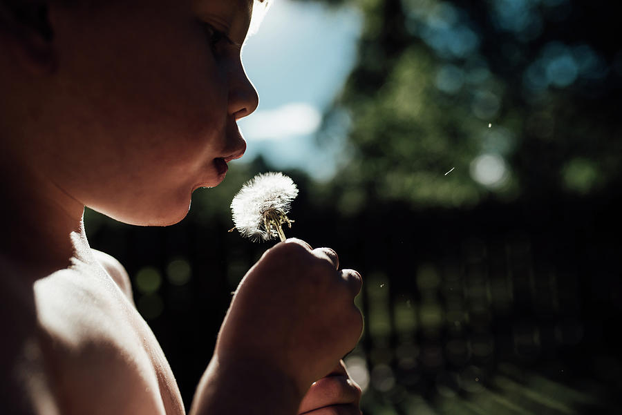 Nature Photograph - Cropped Image Of Boy Blowing Dandelion Flower At Panama City Beach by Cavan Images