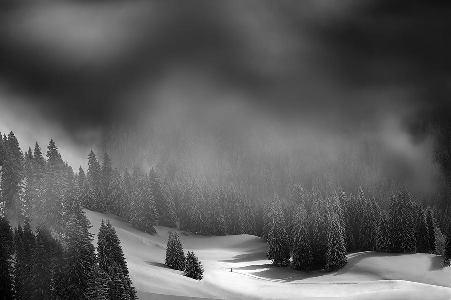 Winter Photograph - Cross Country by Christoph Hessel