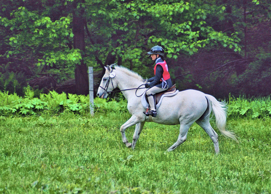 Cross Country Photograph by Dressage Design