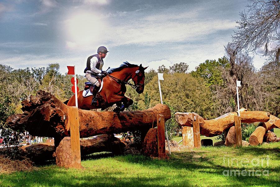 Cross Country Equines by Paul Wilford Cross Country Equines by Paul Wilford