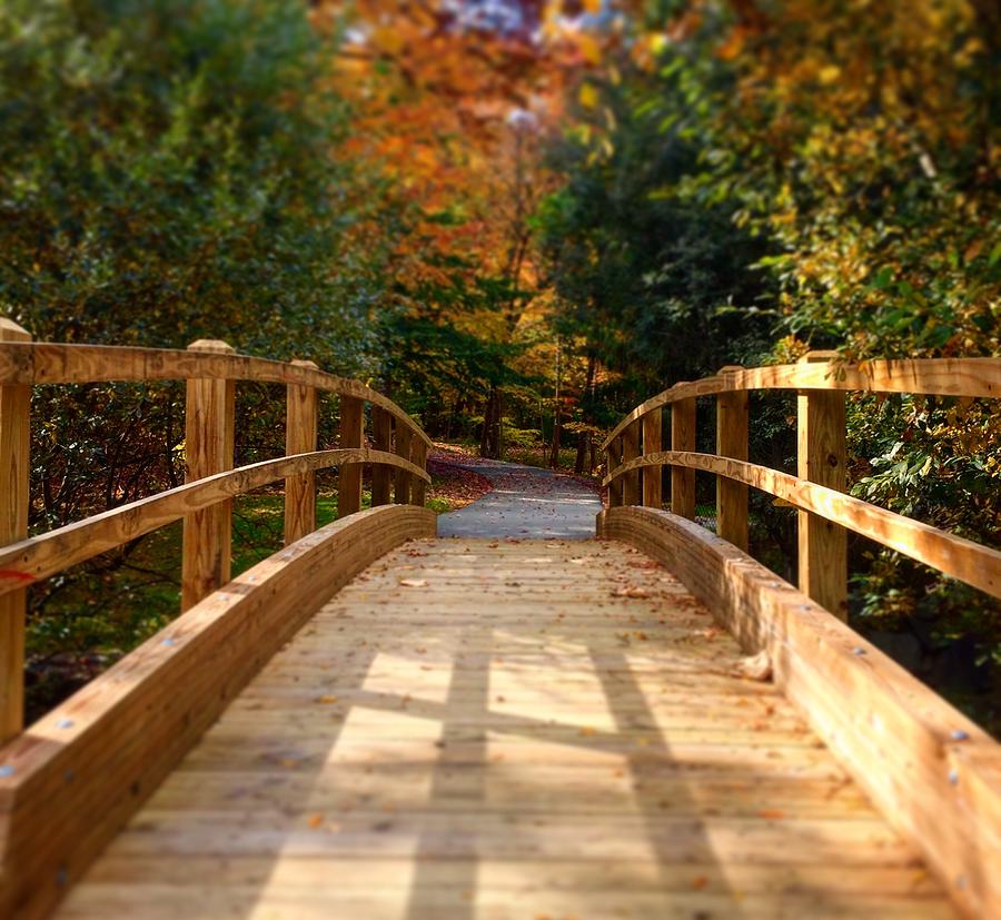 Cross many bridges Photograph by Ellen Sue Kelly - Fine Art America