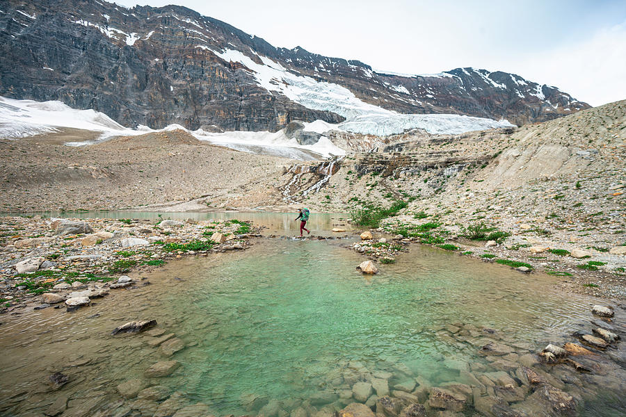 Crossing A Glacial Pond On Iceline Trail In Yoho National Park