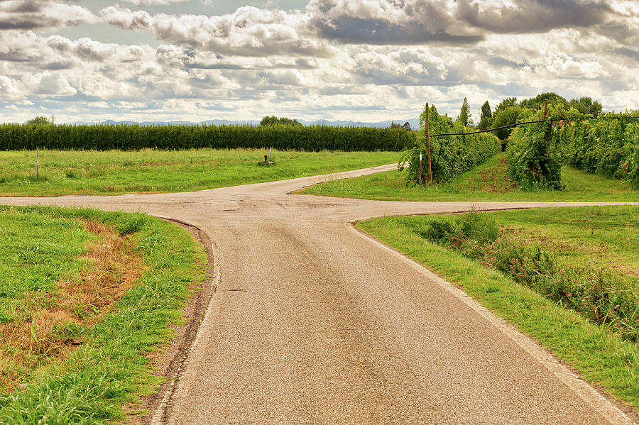 Crossing four country roads Photograph by Vivida Photo PC
