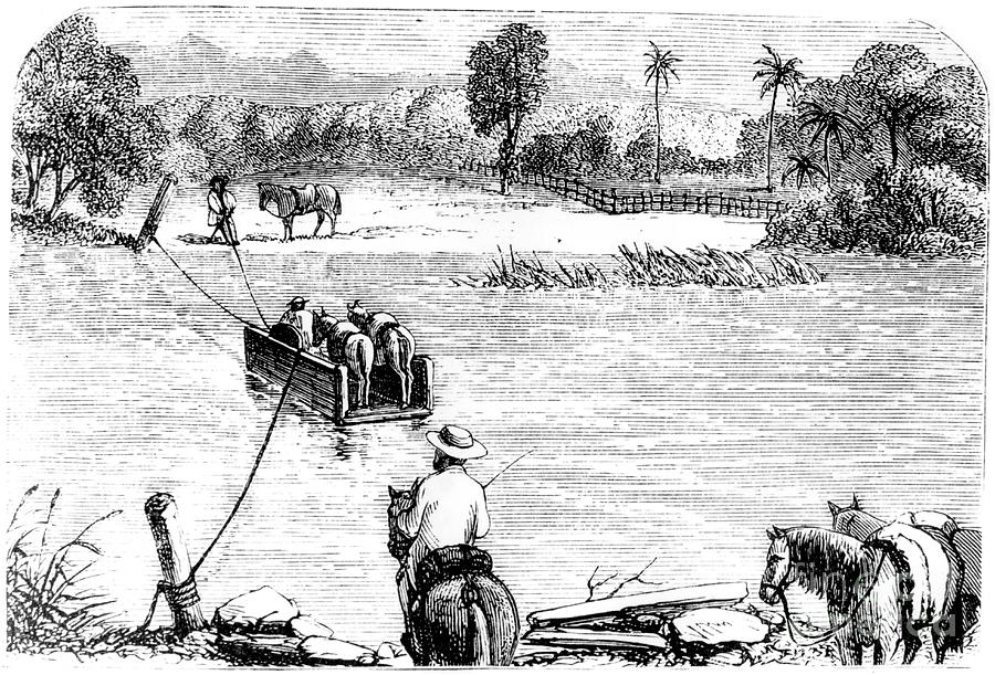 Crossing The Isabella, Santo Domingo Drawing by Print Collector
