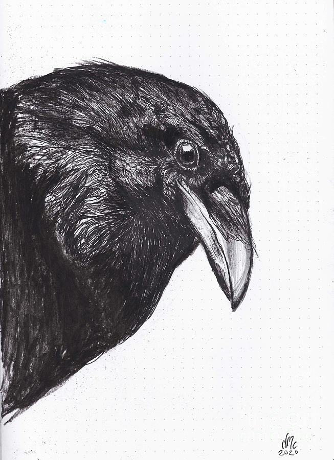 Crow Or Raven Painting by Nancy Moniz Charalambous