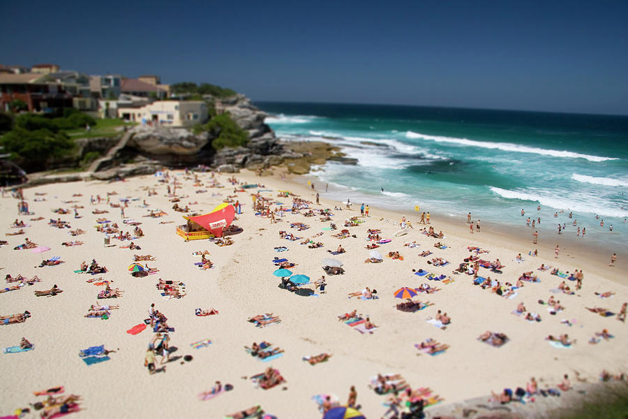 Crowded Tamarama Beach In The Summer Photograph by © Francois Marclay
