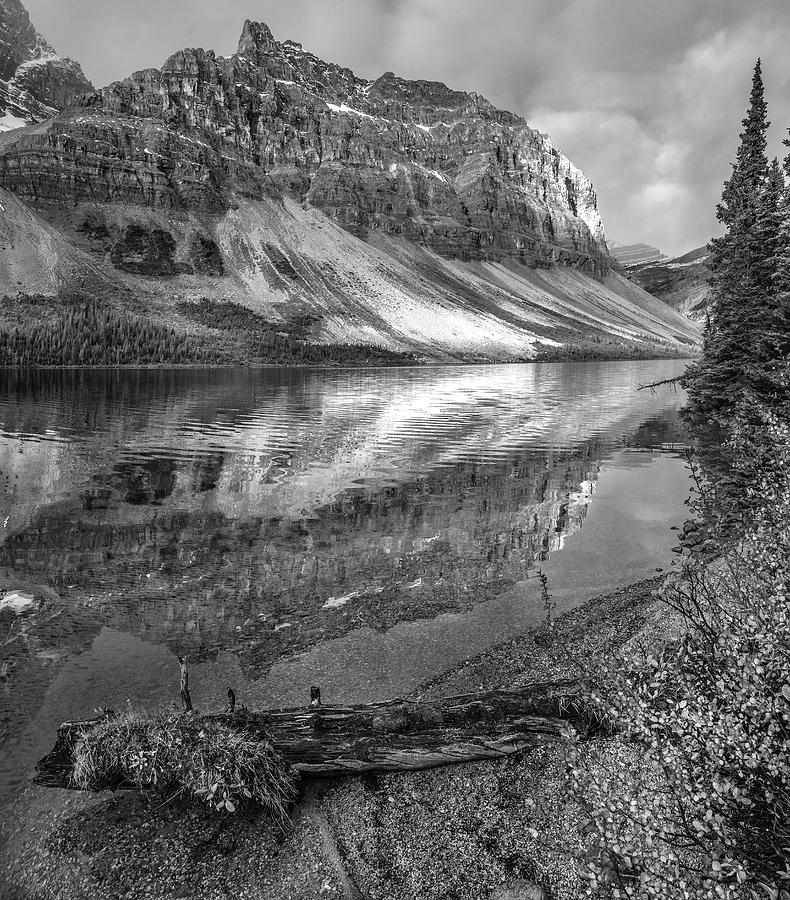 Crowfoot Mountains And Bow Lake Photograph by Tim Fitzharris