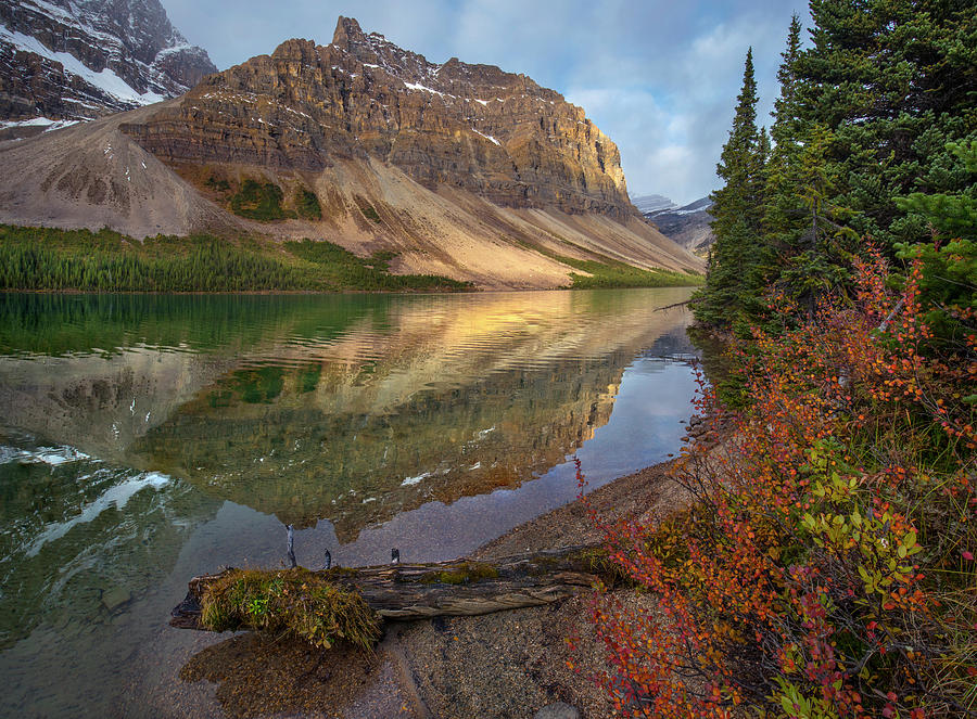 Crowfoot Mts. And Bow Lake, Icefields Parkway, Rocky Mountains, Alberta, Canada Photograph by Tim Fitzharris
