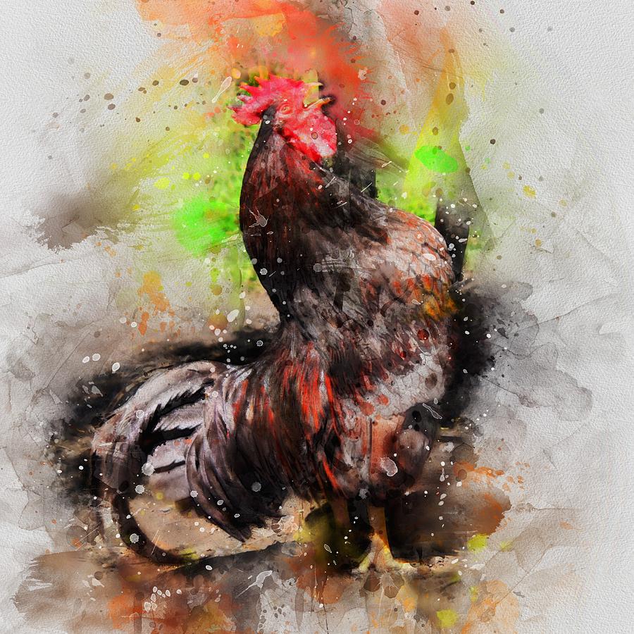 Crowing Rooster Digital Art By Western Exposure Fine Art America