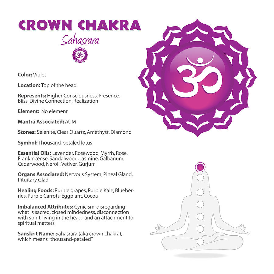 Crown Chakra Chart Digital Art by Serena King