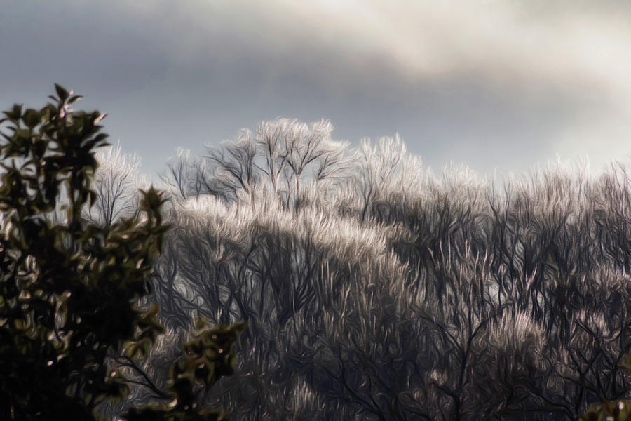 Crown of Ice by Davin McLaird Crown of Ice by Davin McLaird